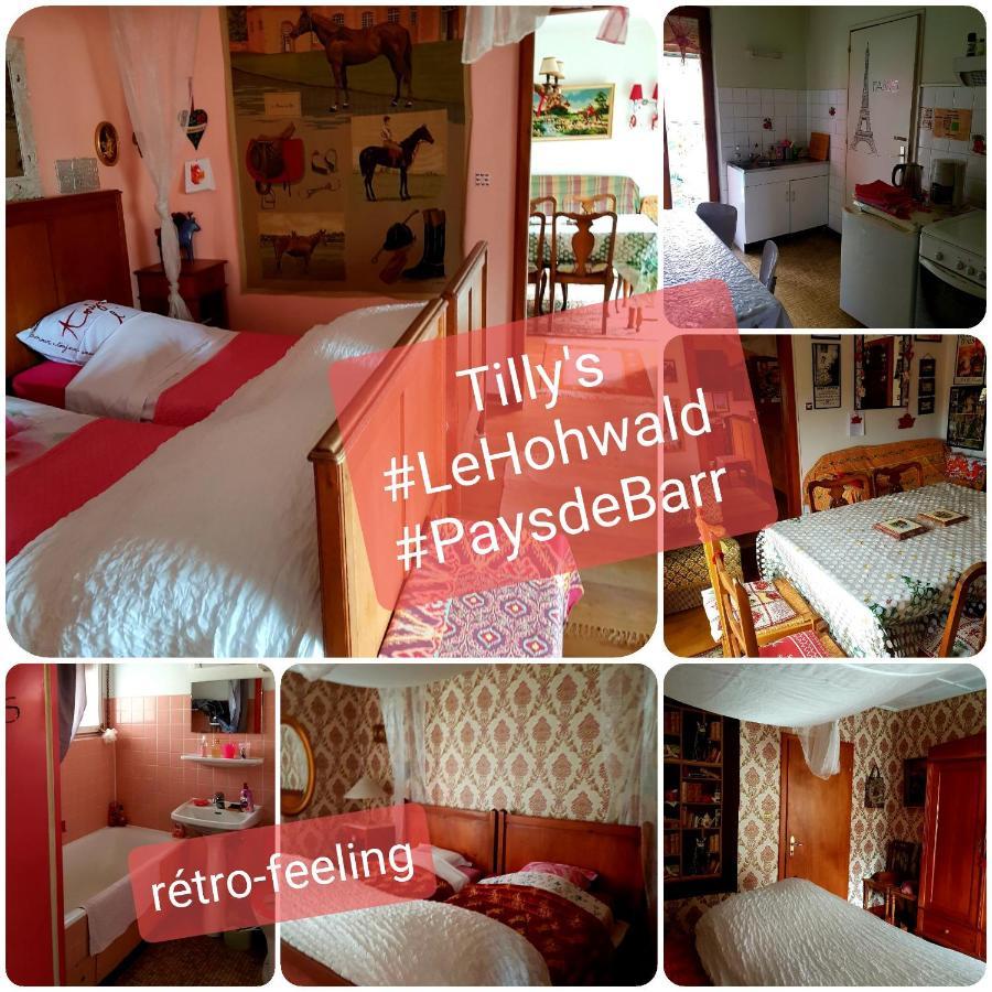 Tilly'S B&B And Apartment House Le Hohwald Eksteriør billede
